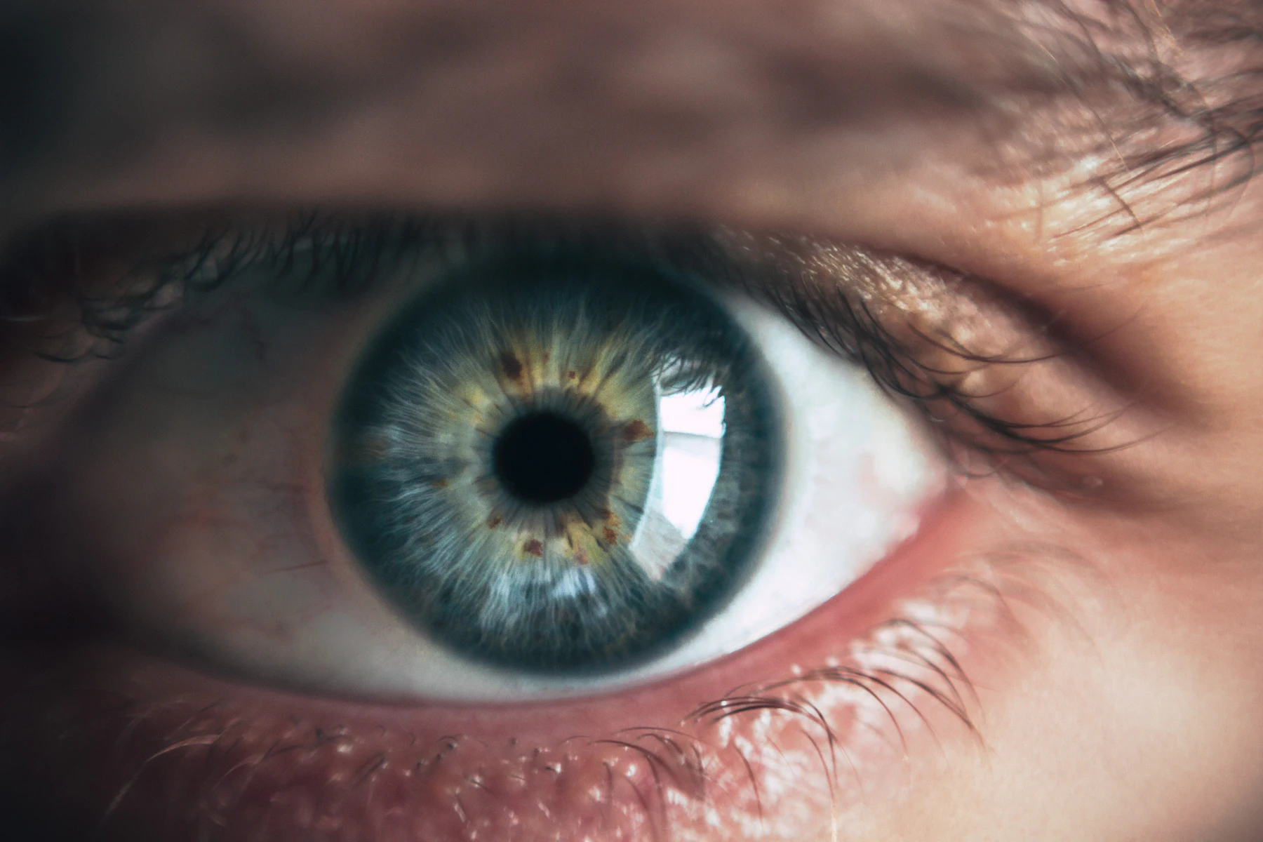 Close-up of a human eye showing iris detail