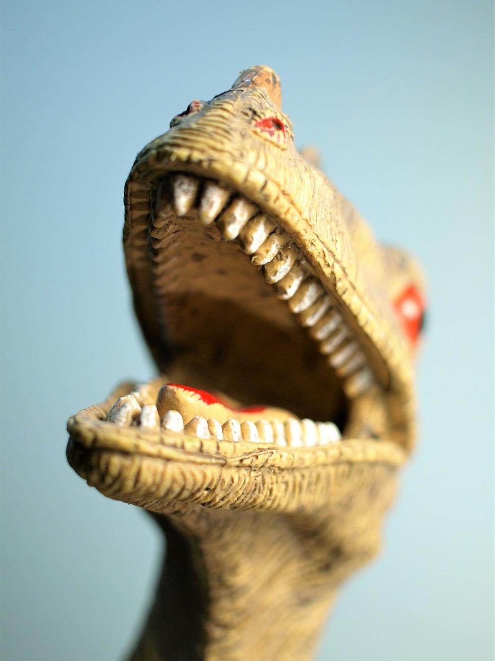 Fotografía de enfoque superficial de Velociraptor