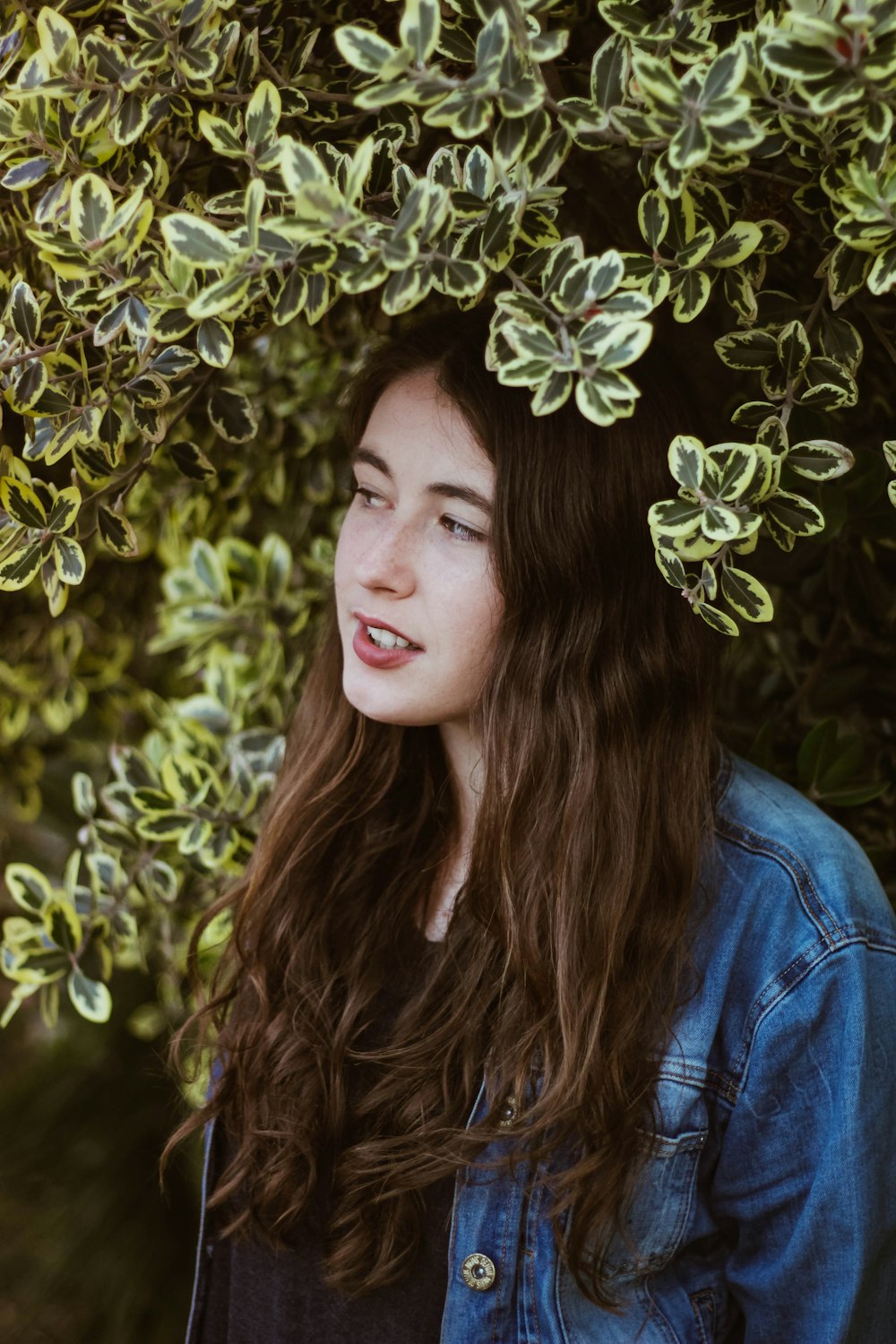 woman standing under green leaf plant