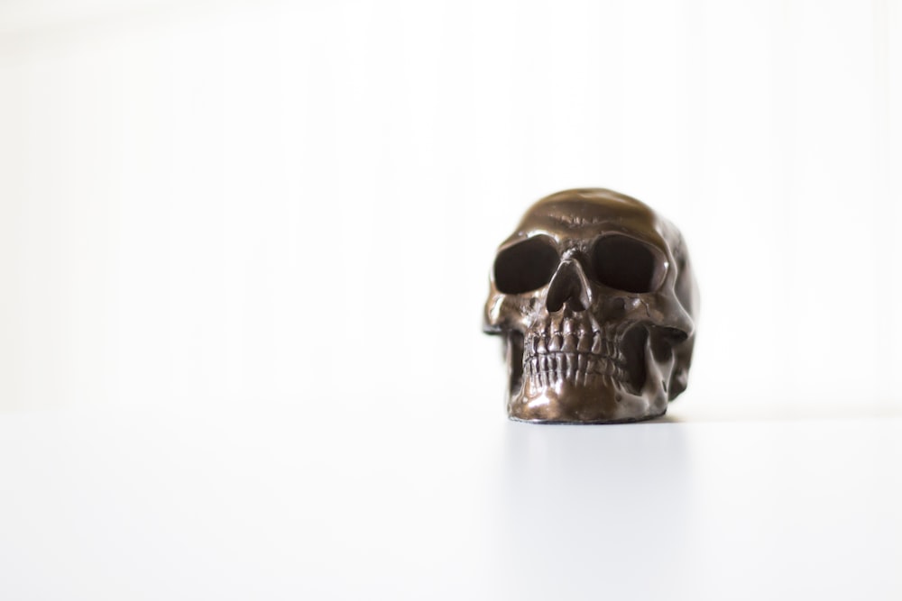 gray skull decor