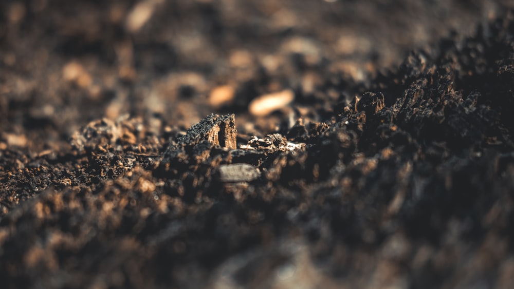 close up photography of black stones