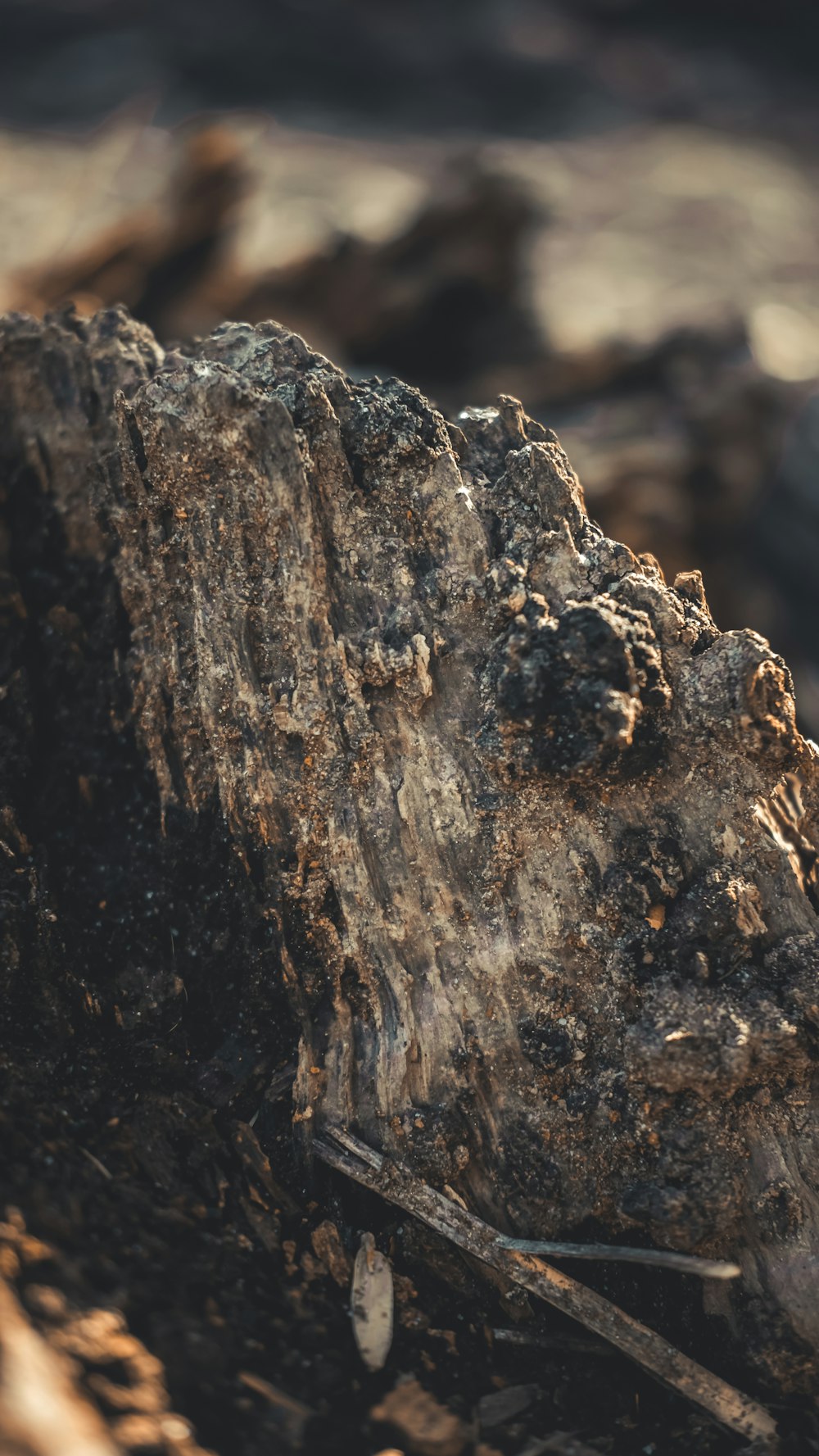 gray mineral rock close up photography