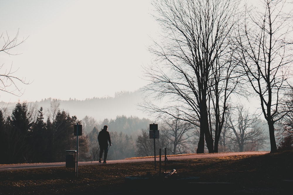 silhouette photo of man beside beartrees