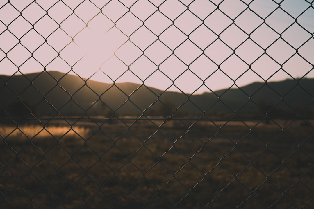 silhouette photography of chain-link fence