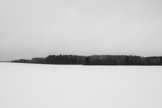 forest grayscale photography in Sigulda Latvia