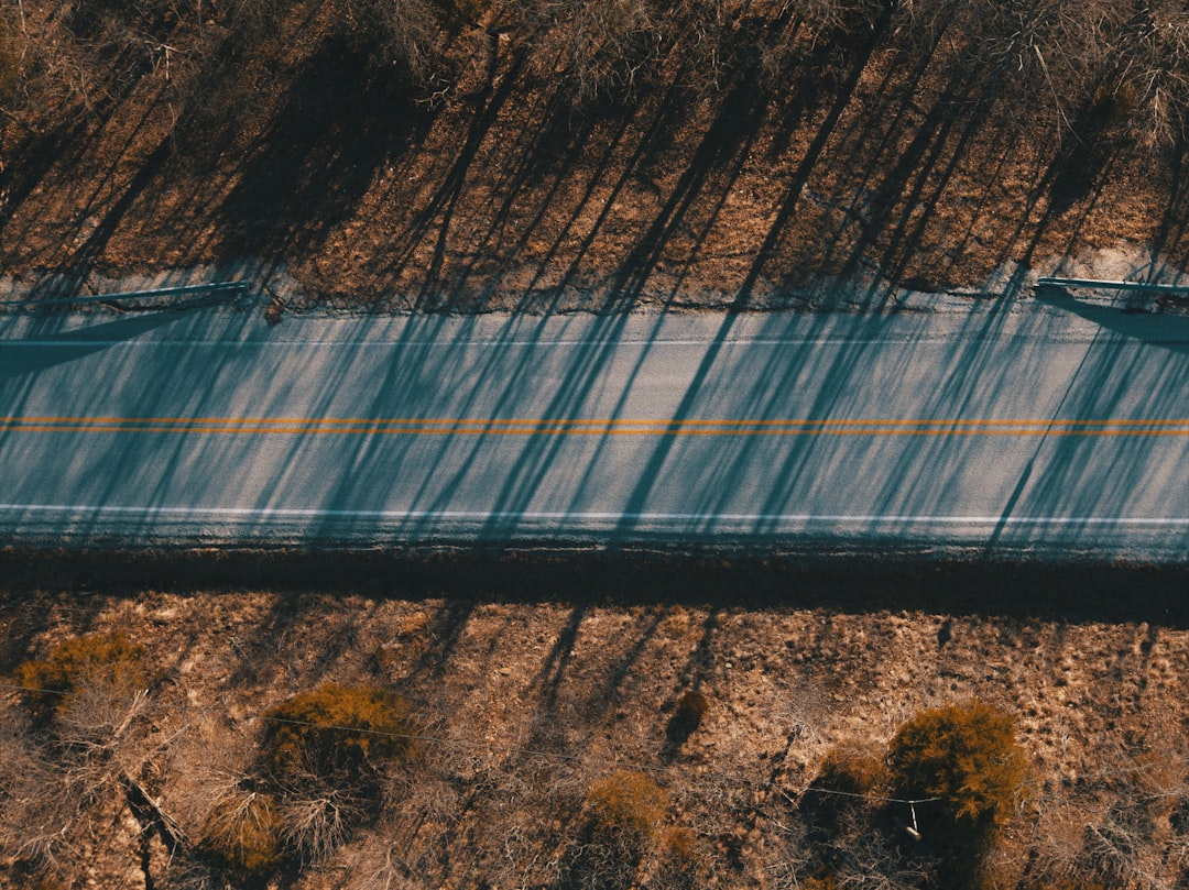 aerial photography of road