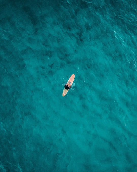 aerial photography of person on surfboard on sea in Bondi Beach Australia