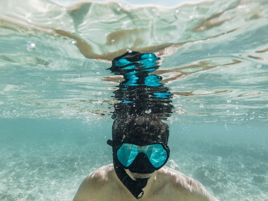 underwater photography of person diving in Honolulu United States