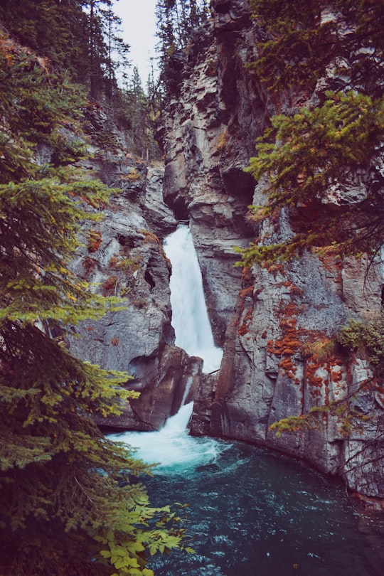 waterfalls surrounded by trees during daytime in Johnston Canyon Canada