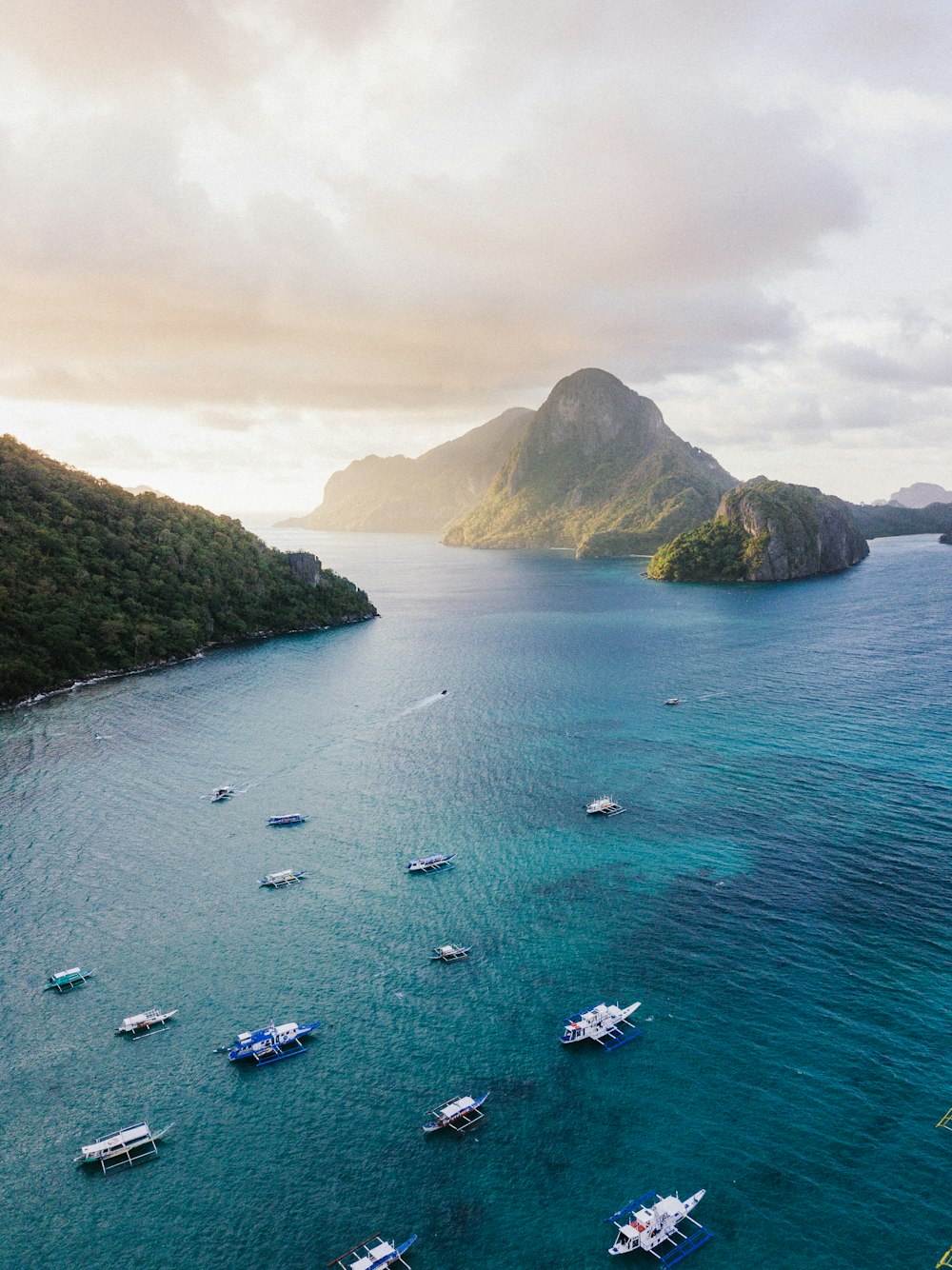 group of fishing boats on body of water