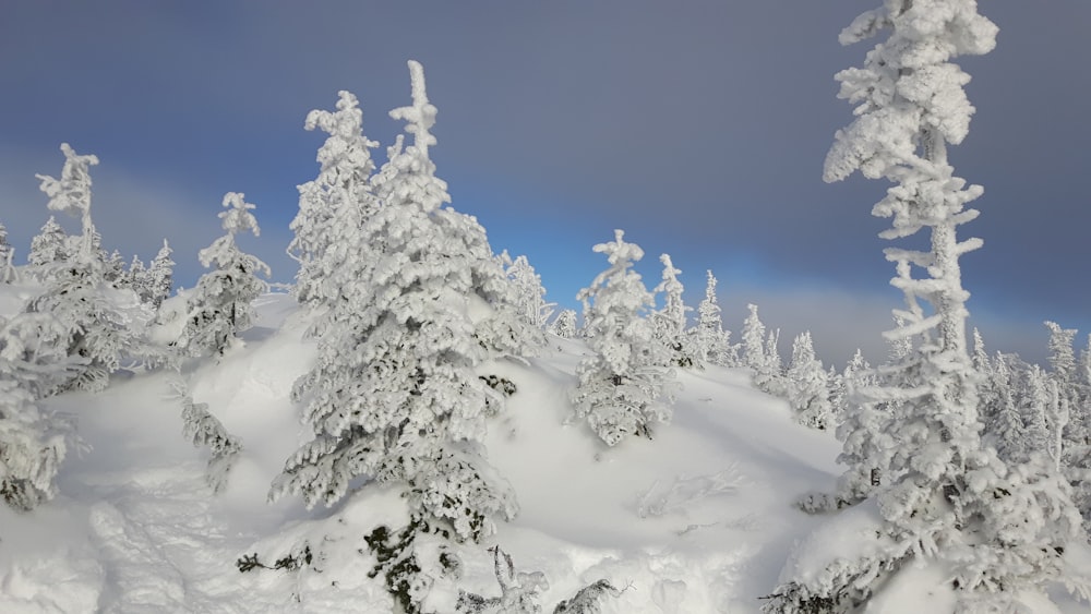 snow-covered mountain during daytime