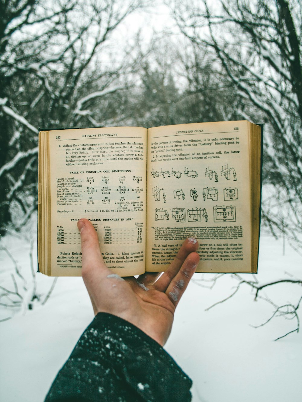 person holding book in snow coated forest during daytime
