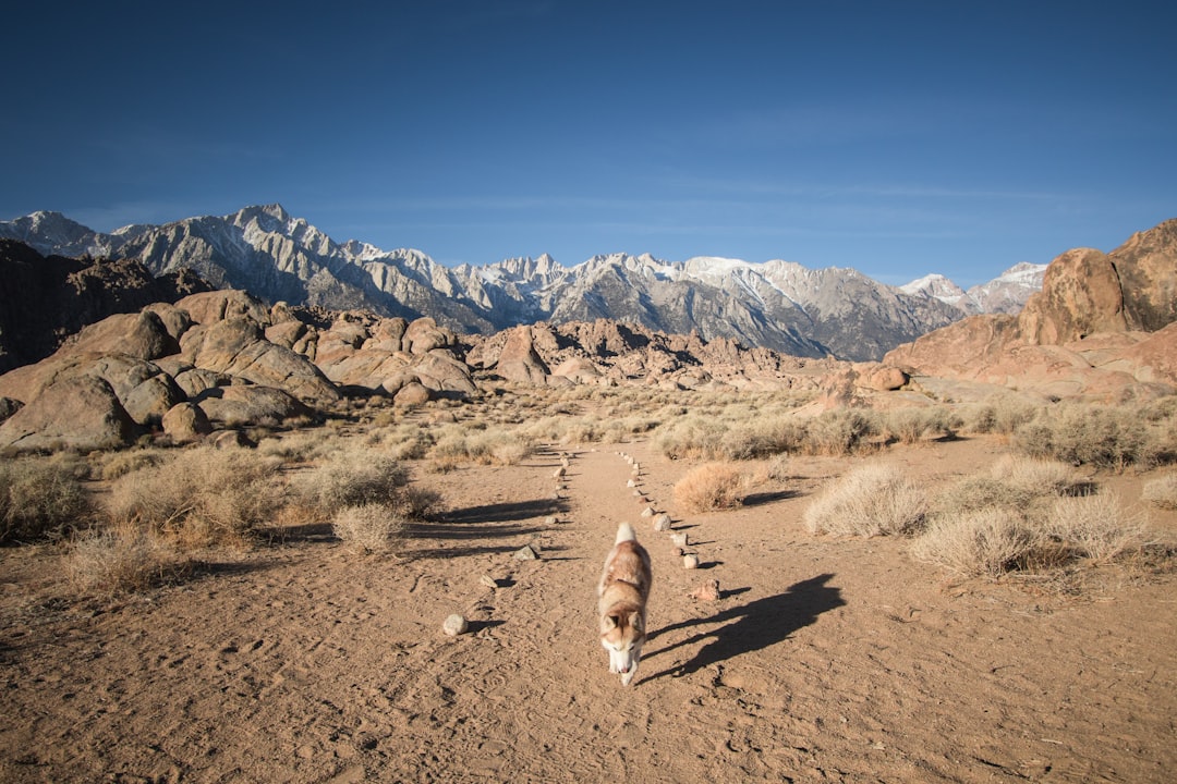 Badlands photo spot Eastern Sierras Yosemite National Park