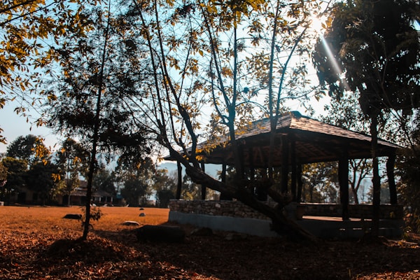 A serene outdoor scene featuring a wooden gazebo structure surrounded by trees and foliage. Sunlight filters through the trees, casting a warm glow on the ground covered with dry leaves. The background includes more trees and some buildings, suggesting a park or retreat setting.