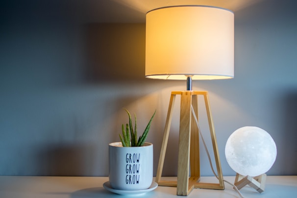 A minimalist desk setup with a plant and a stylish lamp.