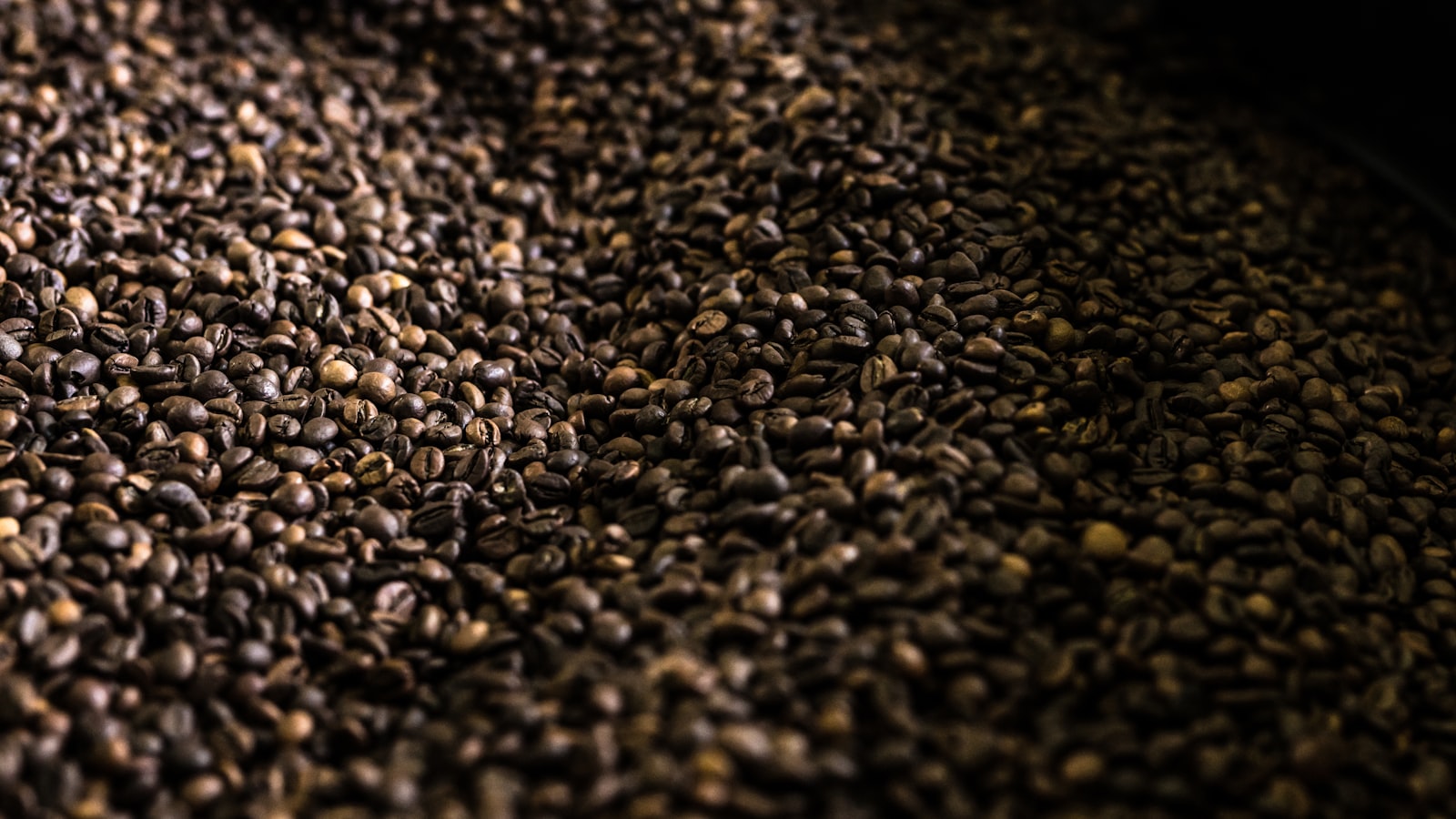 #180 50/1.4 sample photo. Coffee grain lot photography