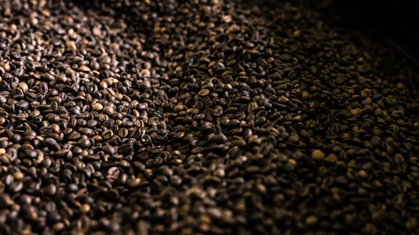 Coffee grain lot