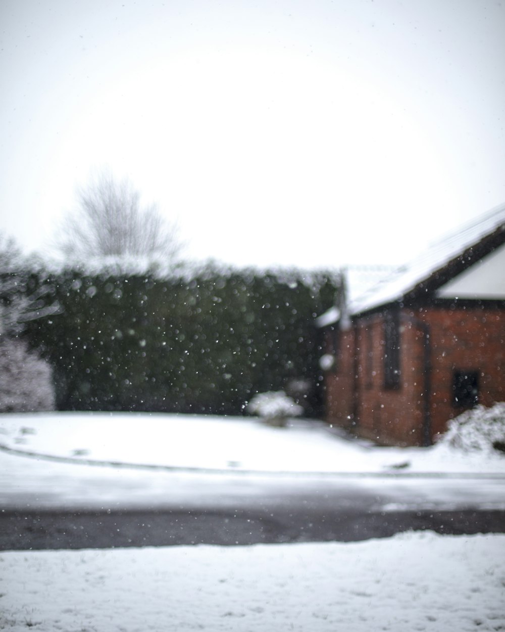 Blick auf das Schneegelände von innen während des Tages