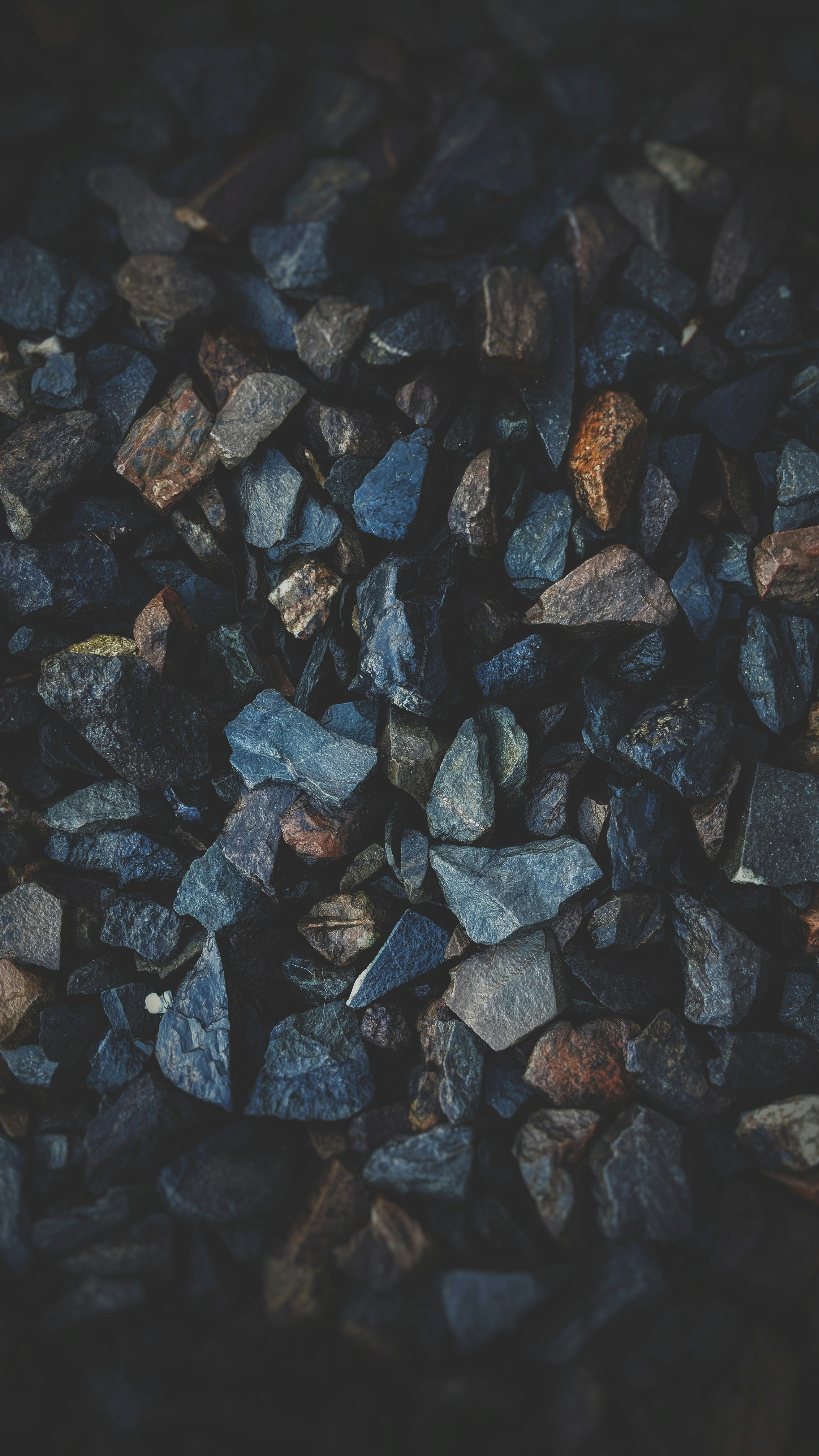 The Connection Between Oxalates And Kidney Stones: What You Need To Know