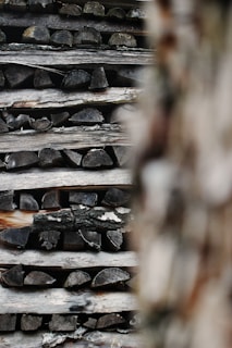 A stack of cut firewood logs arranged neatly in rows. The logs have varying shades of weathered gray and brown, with visible tree rings and bark patterns. The image has a softly blurred foreground on the right, which might be another piece of wood or a tree trunk.