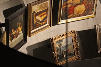 Several framed paintings are displayed in a gallery setting, featuring a variety of artistic styles. The artworks include still life, rural scenes, and landscapes, with each painting surrounded by ornate or simple frames. Shadows are cast on a neutral-colored wall, adding depth to the scene.