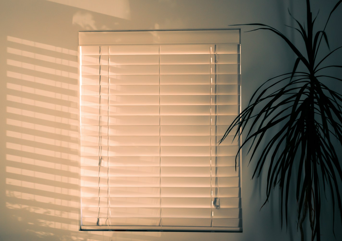 How To Install Window Blinds Without Drilling (3 Easy Ways)