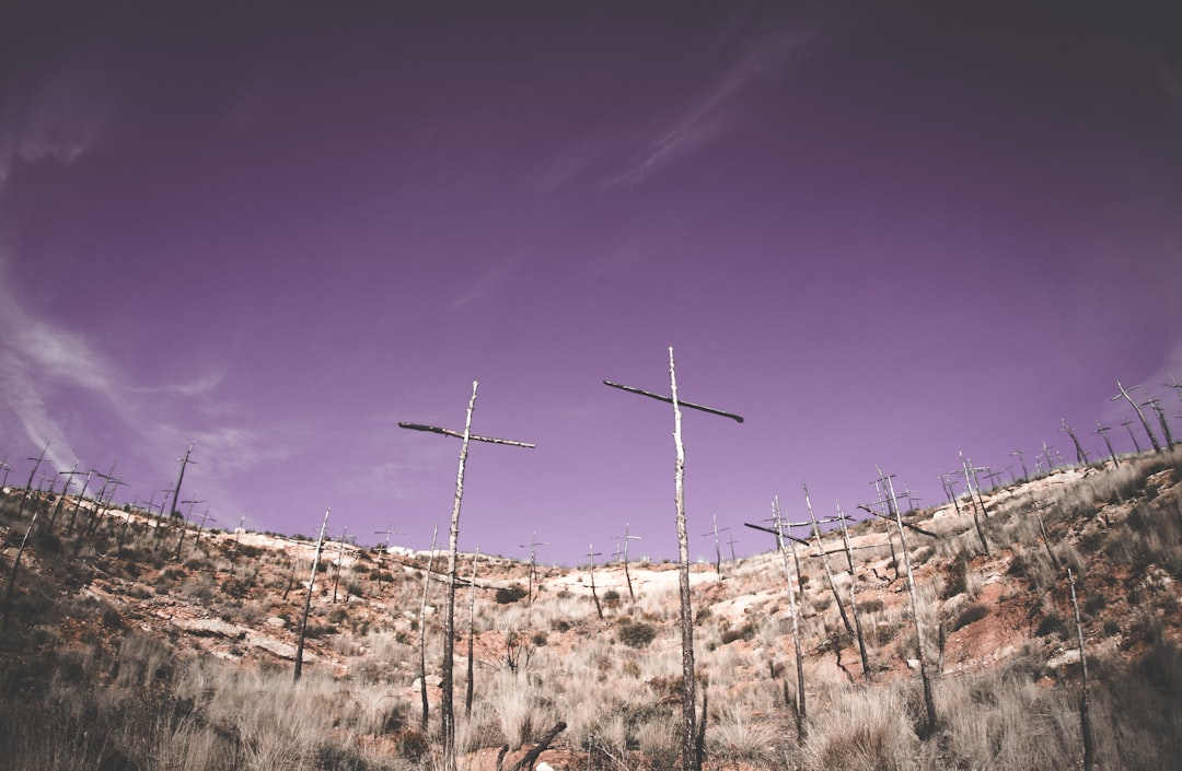 Panorama photo spot El Bosc de les Creus Camp Nou