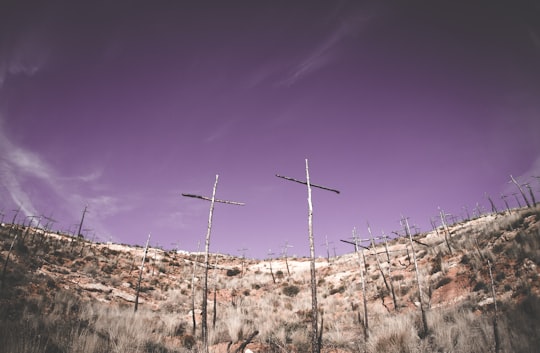 low-angle photography gray wooden cross on hilltop in El Bosc de les Creus Spain