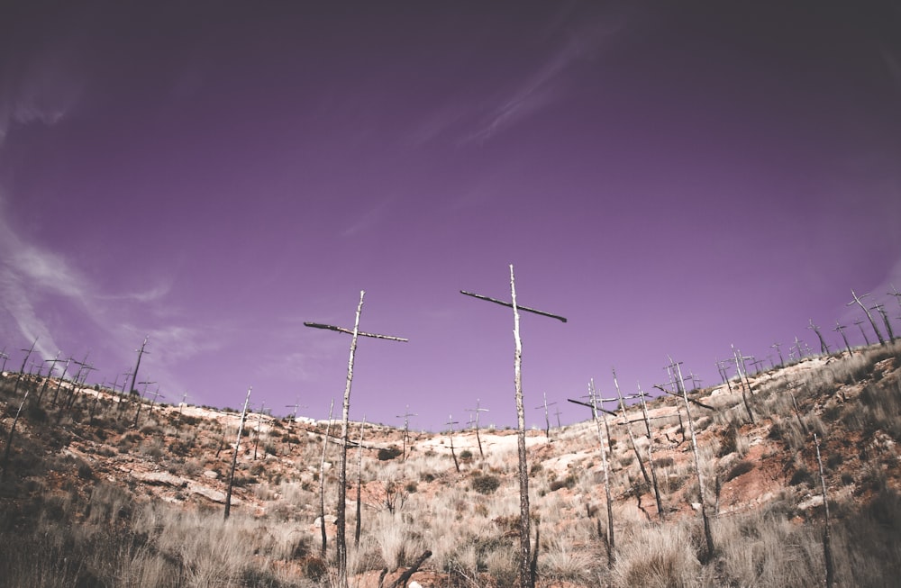 Flachwinkelfotografie graues Holzkreuz auf Hügelkuppe