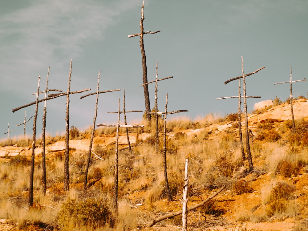 cruz de madera marrón bajo el cielo azul claro durante el día