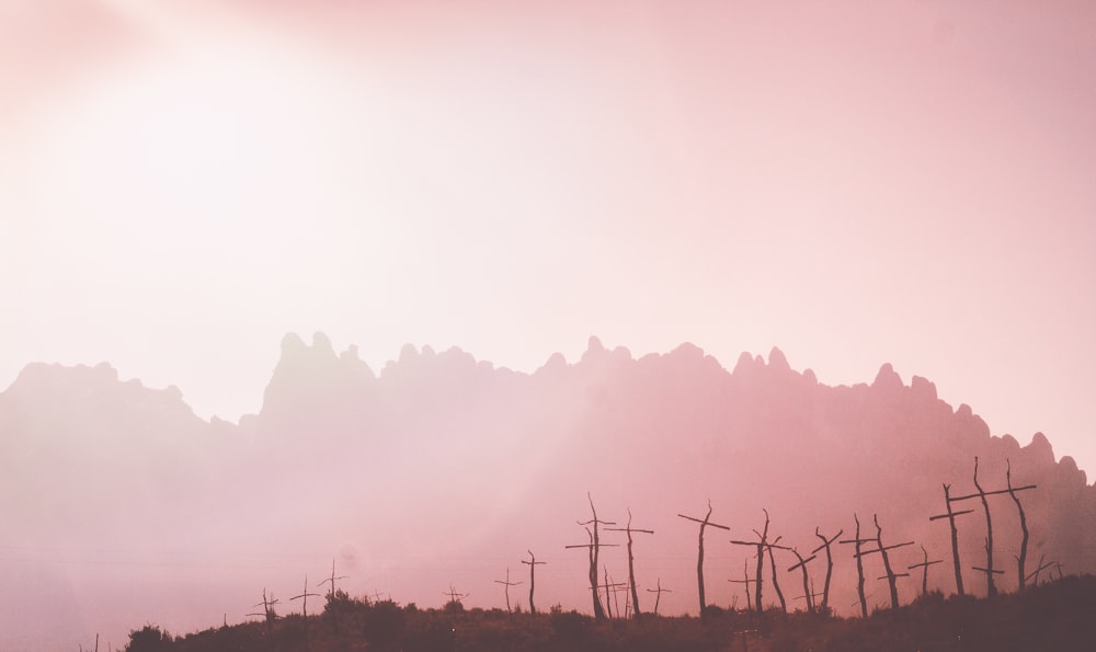 Silhouette Landschaftsfotografie eines Kreuzes auf einem Berg in der Nähe hoher Bäume