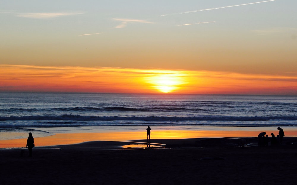 silhouette photography of several people on beach