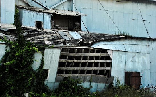 An old, dilapidated building with a collapsing roof and deteriorating blue siding appears abandoned. Overgrown plants and vines are encroaching upon the structure, indicating long-term neglect. Some of the windows are broken, and the overall state of the building suggests heavy decay and disrepair.