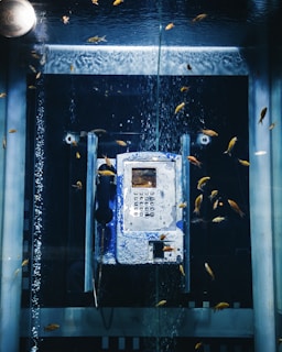 An old payphone submerged in an aquarium filled with small goldfish. Water bubbles rise around the phone, and fish swim freely in various directions. The phone shows signs of wear and corrosion due to its underwater environment.