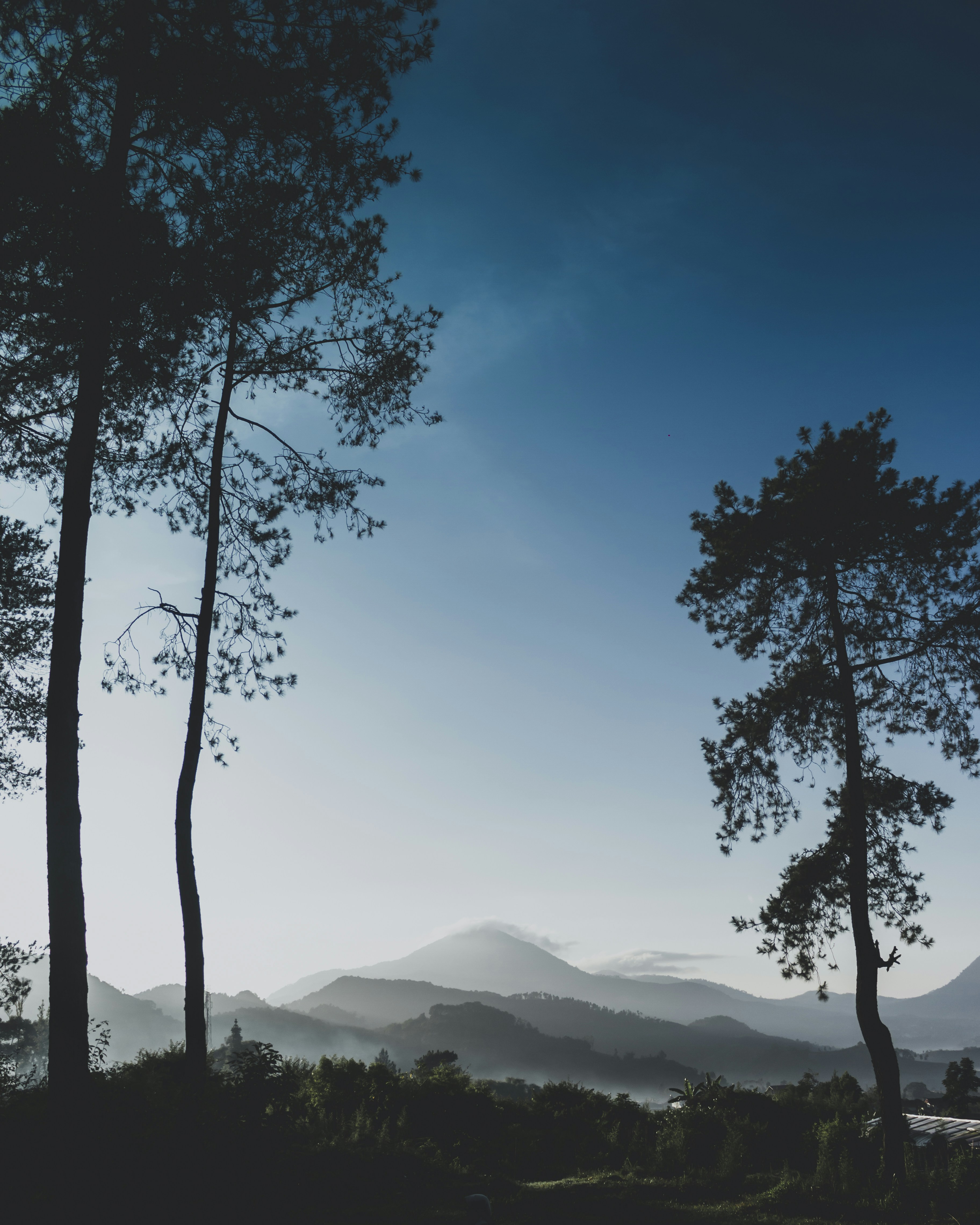 朋友间最真挚的祝福语