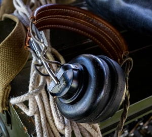 Wireless Headset Pro