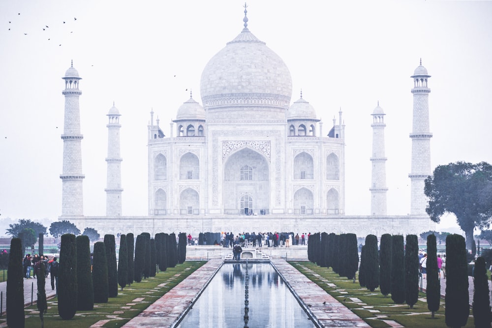 The Beauty Of Taj Mahal