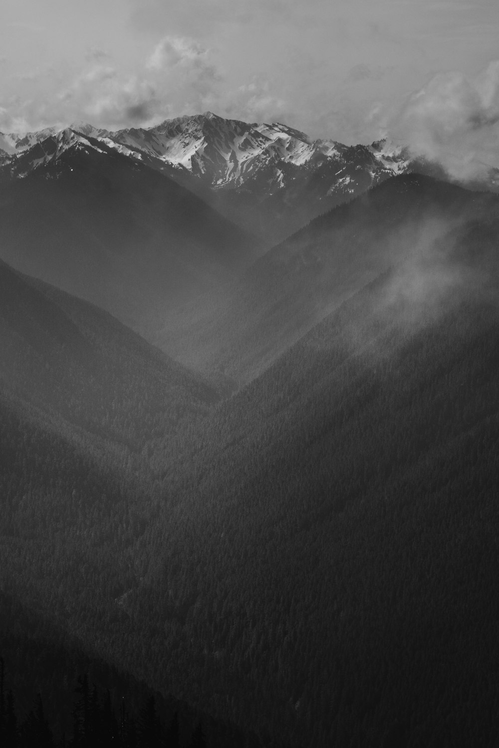 Foto in scala di grigi della catena montuosa