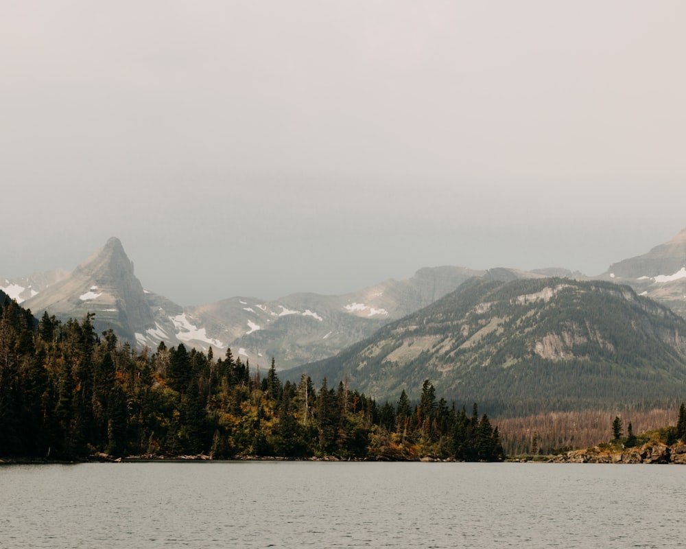 photo de paysage de montagne et d’arbres