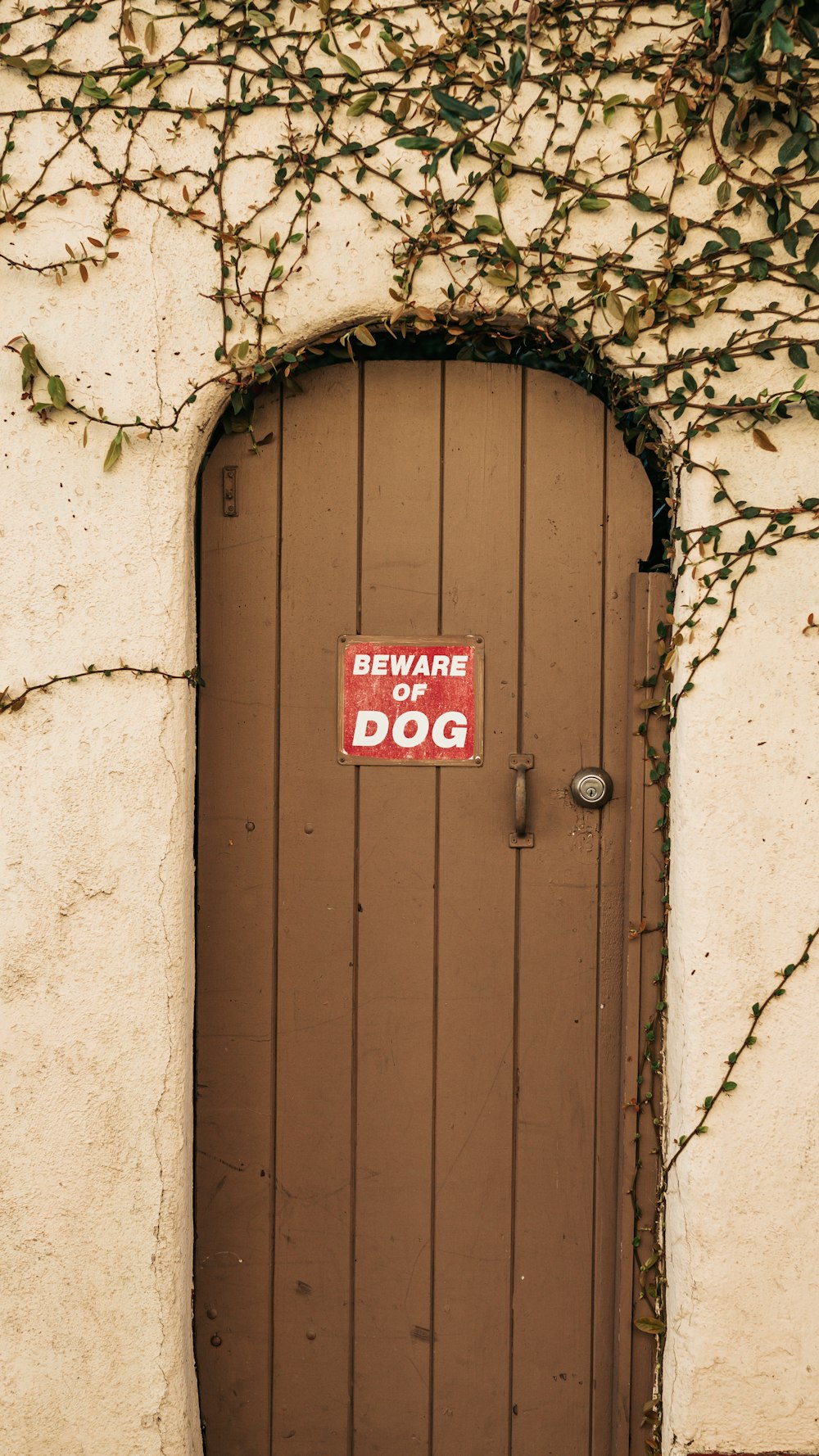 porte en bois marron