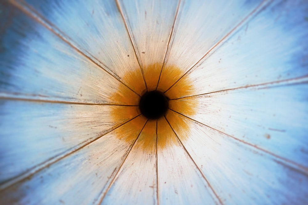 a close up of a blue and yellow umbrella