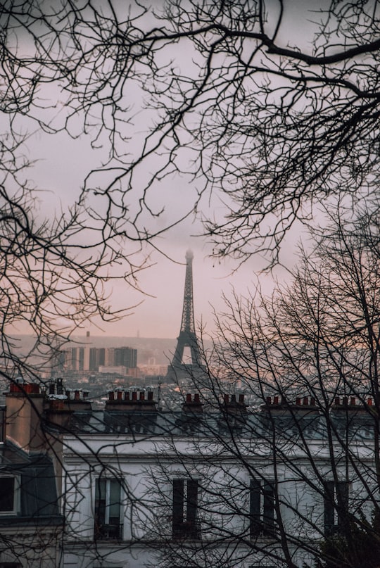 Eiffel Tower, Paris photo in Montmartre France