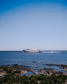 A ferry labeled 'coloniaexpress' moves across a calm body of water under a clear blue sky. In the foreground, there is a rocky shore with patches of green vegetation.