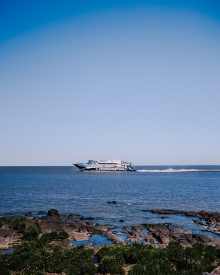 A ferry labeled 'coloniaexpress' moves across a calm body of water under a clear blue sky. In the foreground, there is a rocky shore with patches of green vegetation.