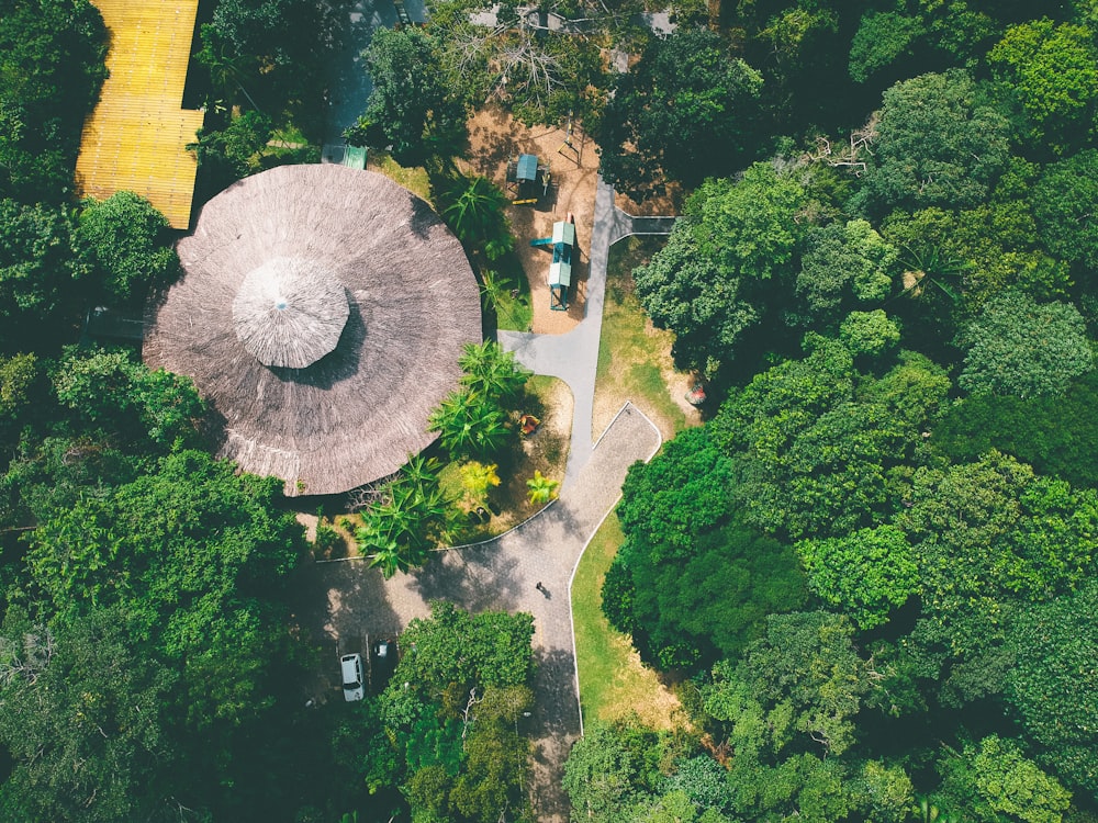 Photo en grand angle d’une structure entourée d’arbres verts