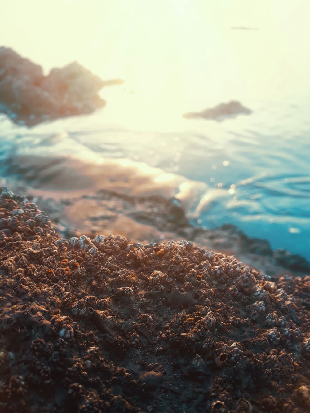 photo of rocks near body of water