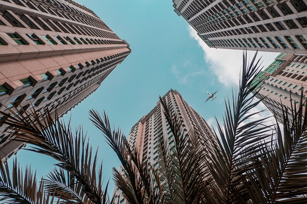 worm's view of commercial buildings and airplane