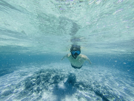 man swimming underwater in Honolulu United States