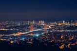 top view photography of lighted city