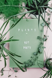 A green perforated board surrounded by various potted plants with white letters spelling 'PLANTS NOT PANTS'. The leaves are lush and varied in texture and shape, creating a vibrant natural frame around the board.